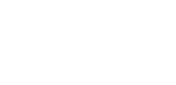 dardin-capital-logo